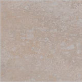 FLORA SKID 309 - SIMPOLO-TILES -  (  - FLORA SKID MATT - 300x300 mm - 12inchX12inch )