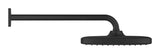 TEMPESTA CUBE 250 HEADSHOWER SET - GROHE -  ( MATTE BLACK - G3 - TEMPESTA CUBE - 0x15 mm - 0inchX0.5inch )