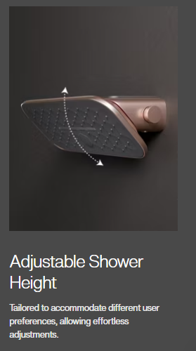 RADIANCE SHOULDER SHOWER 2F W DIVERTER - KOHLER PREMIUM -  ( BLACK - PREMIUM - 0x0 mm - 0inchx0inch )