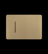 SS FALSE CEILING SHWR 2 FUN. W/INST. KIT - AQUANT -  ( BRUSHED GOLD -  - 480x330 mm  - 19.2inchX13.2inch )