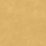 SPECTRA MUSTARD MATT - SIMPOLO-TILES -  (  - SPECTRA MATT - 1198x1198 mm - 48inchX48inch )