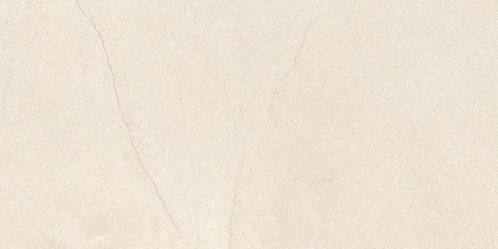3034 CRV MATT - SIMPOLO-TILES -  (  - COMPETITIVE COLLECTION MATT - 1200x600 mm - 48inchX24inch )