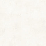 SPECTRA SALT MATT - SIMPOLO-TILES -  (  - SPECTRA MATT - 1198x1198 mm - 48inchX48inch )
