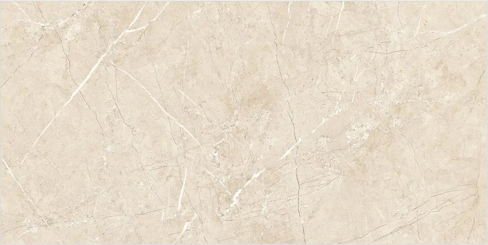 1002 GLOSSY - SIMPOLO-TILES -  (  - COMPETITIVE COLLECTION GLOSSY - 1200x600x8.5 mm - 48inchX24inchX0.34inch )