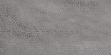 8080 L - INDIAN TILES -  (  - BLACKBERRY GLOSSY - 600x300 mm - 24inchX12inch )