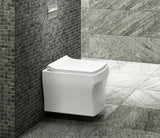 RIMLESS WM EWC W/SOFT CLOSE SC (P-210)- HINDWARE -  ( WHITE - BERLIN - 480x345 mm - 19.2inchX13.8inch )