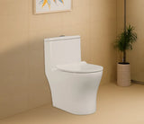 EWC 1 PC ESSENCE NEO (S-300)- HINDWARE -  ( STAR WHITE - ITALIAN - 670x410 mm - 26.8inchX16.4inch )