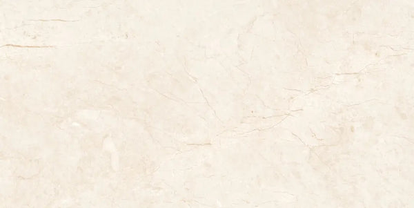 1113 GLOSSY - SIMPOLO-TILES -  (  - COMPETITIVE COLLECTION GLOSSY - 1200x600x8.5 mm - 48inchX24inchX0.34inch )