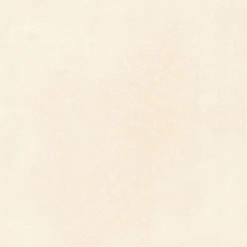 8025 MATT - SIMPOLO-TILES -  (  - PROZZO MATT - 600x600x8.5 mm - 24inchX24inchX0.34inch )