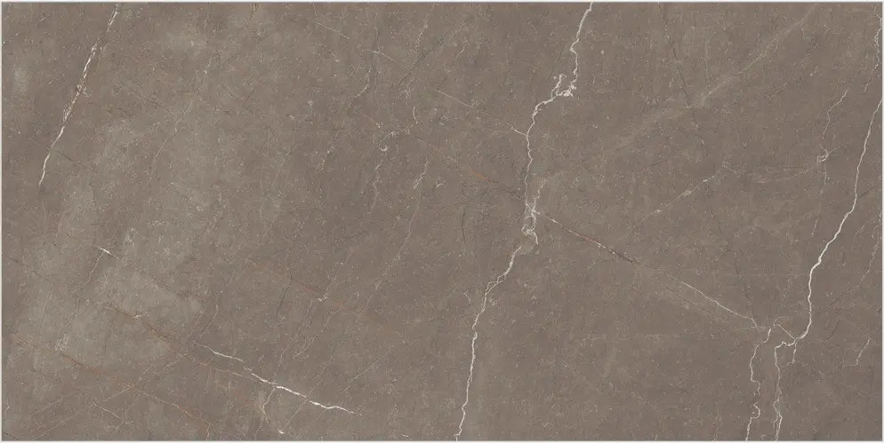 1005 GLOSSY - SIMPOLO-TILES -  (  - COMPETITIVE COLLECTION GLOSSY - 1200x600x8.5 mm - 48inchX24inchX0.34inch )