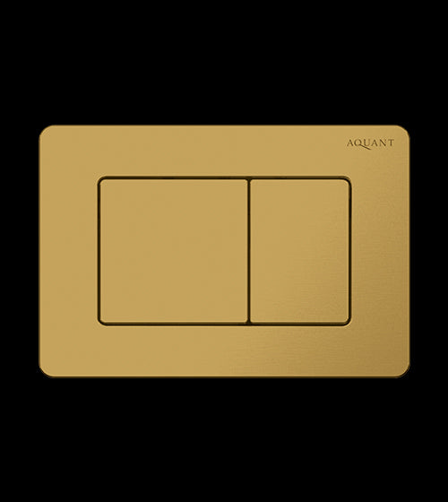 SS FLUSH PLATE - AQUANT -  ( BRUSHED GOLD -  - 0x0 mm - 0inchx0inch )