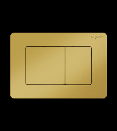 SS FLUSH PLATE - AQUANT -  ( GOLD -  - 0x0 mm - 0inchx0inch )
