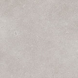 BASALTO GRIGIO THICKNESS 9MM - NEXION -  (  - LITHIC - 1198x1198x mm - 48inchX48inchX0.36inch )