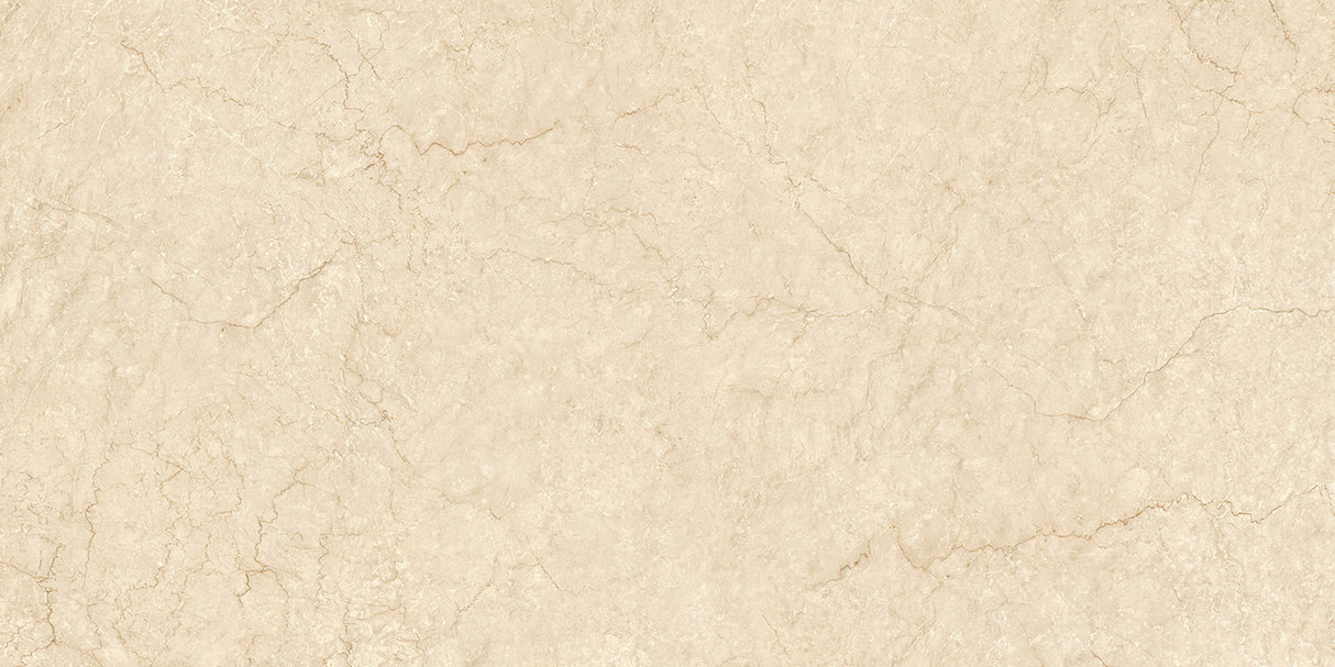 BOTTICINO FULL LAPPATO THICKNESS 9MM - NEXION -  (  -  - 1198x598x9 mm - 48inchX24inchX0.36inch )
