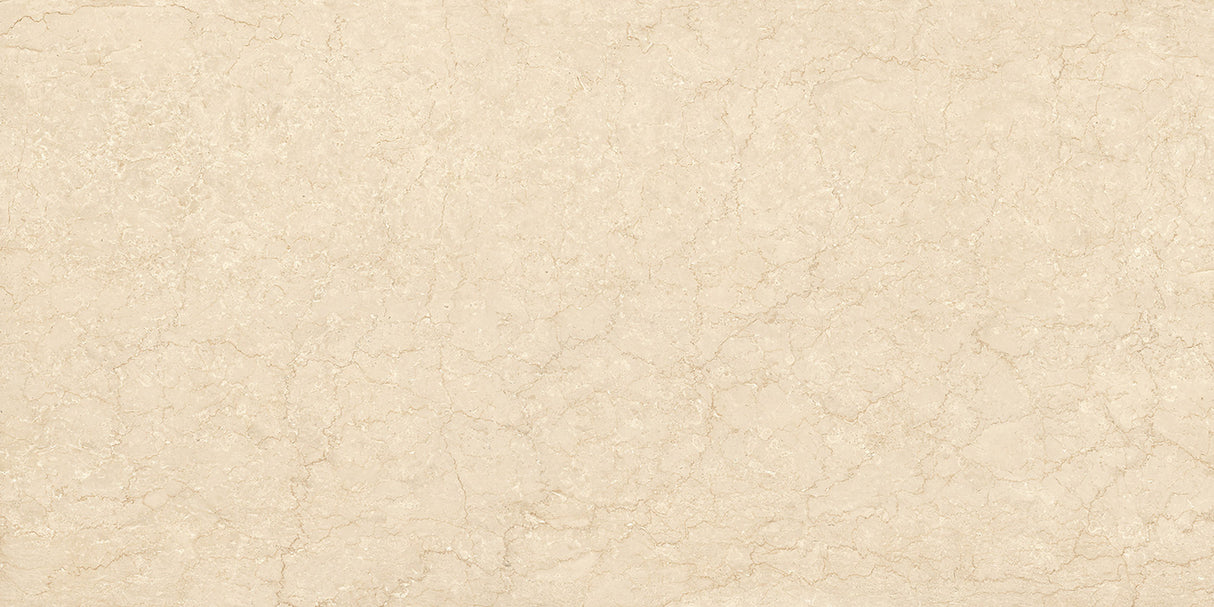 BOTTICINO FULL LAPPATO THICKNESS 9MM - NEXION -  (  -  - 1198x1198x9 mm - 48inchX48inchX0.36inch )
