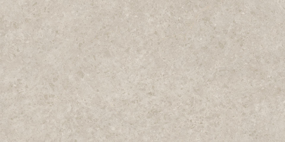 BEIGE DU MARAIS LAPPATO MATT THICKNESS 9MM - NEXION -  (  -  - 1198x1198x9 mm - 48inchX48inchX0.36inch )