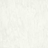 CARRARA DELICATO THICKNESS 9MM - NEXION -  (  - SOFT NATURALE II - 1198x1198x mm - 48inchX48inchX0.36inch )