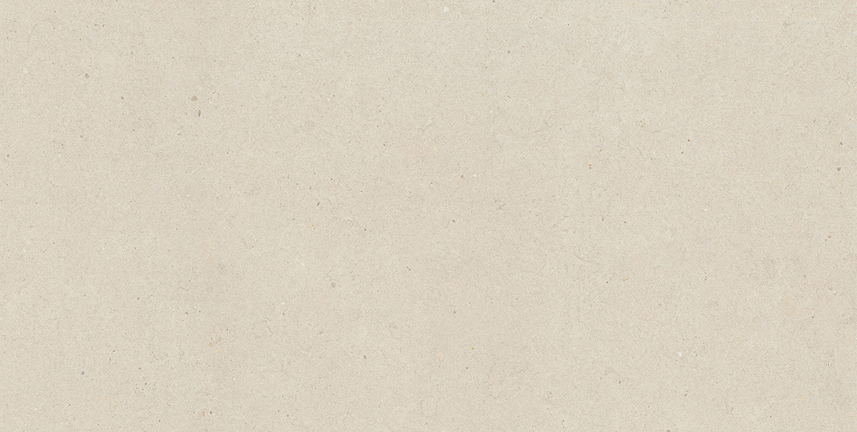 ALPI ARGENTO THICKNESS 9MM - NEXION -  (  - LITHIC - 1198x1198x mm - 48inchX48inchX0.36inch )