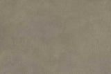 SPECTRA MUSHROOM MATT - SIMPOLO-TILES -  (  - SPECTRA MATT - 1198x598 mm - 48inchX24inch )