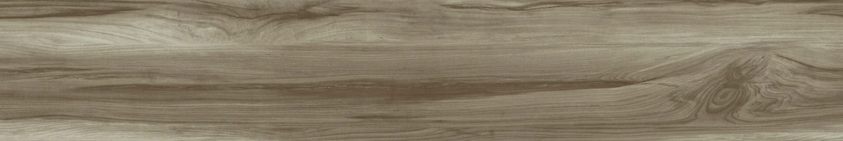 FOSSIL WOOD BRICH  - CREANZA -  (  - RUSTIC MATT - 1200x200 mm - 48inchX8inch )