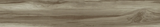 FOSSIL WOOD BRICH  - CREANZA -  (  - RUSTIC MATT - 1200x200 mm - 48inchX8inch )