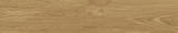 CRISSEL WOOD BROWN - CREANZA -  (  - RUSTIC MATT - 1200x200 mm - 48inchX8inch )