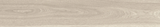MORDIC WOOD ASH  - CREANZA -  (  - RUSTIC MATT - 1200x200 mm - 48inchX8inch )