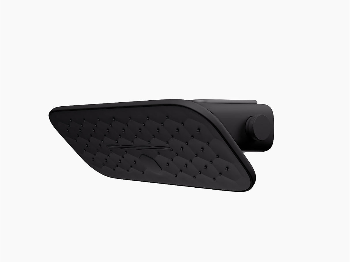 RADIANCE SHOULDER SHOWER 2F W DIVERTER - KOHLER PREMIUM -  ( BLACK - PREMIUM - 0x0 mm - 0inchx0inch )