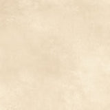 AGATE VARDE - INDIAN TILES -  (  - MIORCA-MATT - 600x600 mm - 24inchX24inch )
