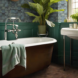AMANTINA ALESSIA HL - EUROPEAN -  (  - MIORCA - 100x100 mm - 4inchX4inch )