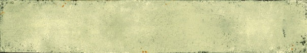 COLORS ACQUAMAR BRICK HL - EUROPEAN -  (  - MIORCA - 450x48 mm - 18inchX1.92inch )