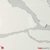 CALACATTA-8 - CALACATTA EXTA (3003) - SURFACES -  (  - TABQUARTZ - 3270x1640x20 mm - 128.74inchX64.57inchX0.8inch )