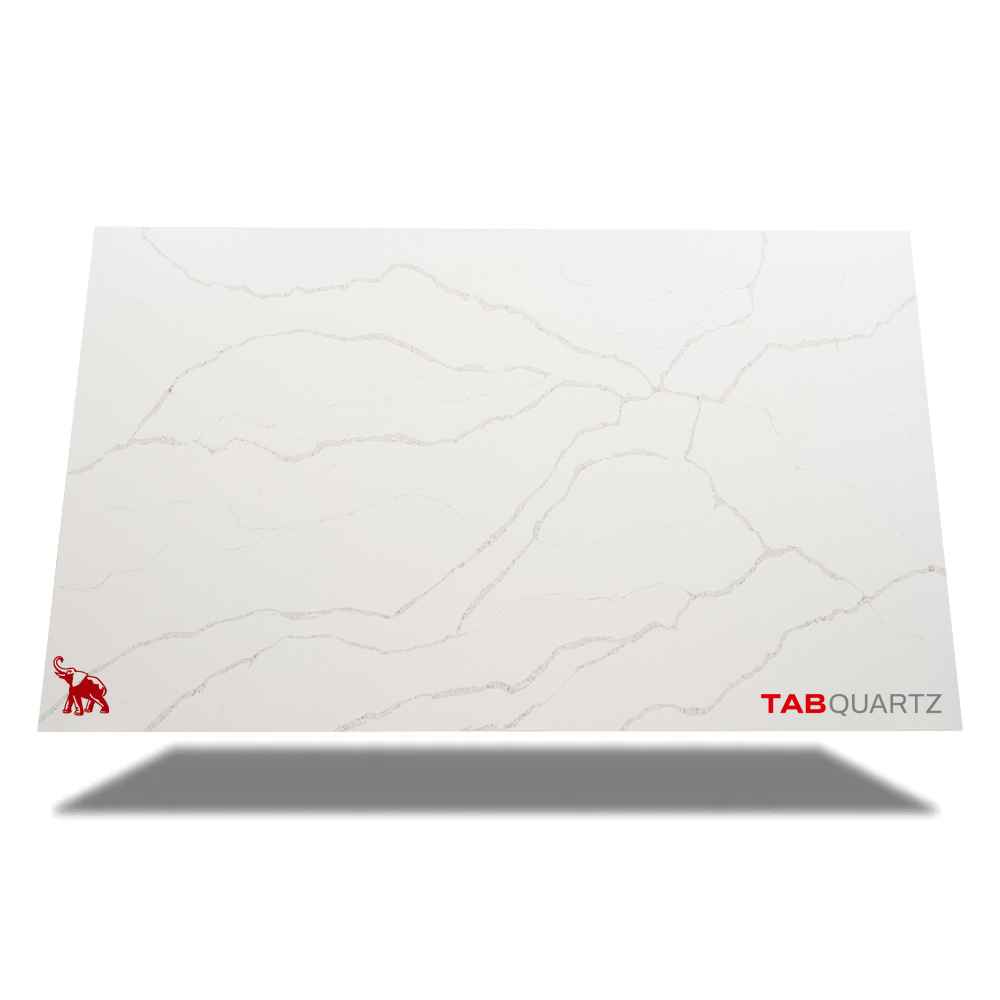 CALACATTA-8 - CALACATTA GRIGIO (6421) - SURFACES -  (  - TABQUARTZ - 3270x1640x20 mm - 128.74inchX64.57inchX0.8inch )