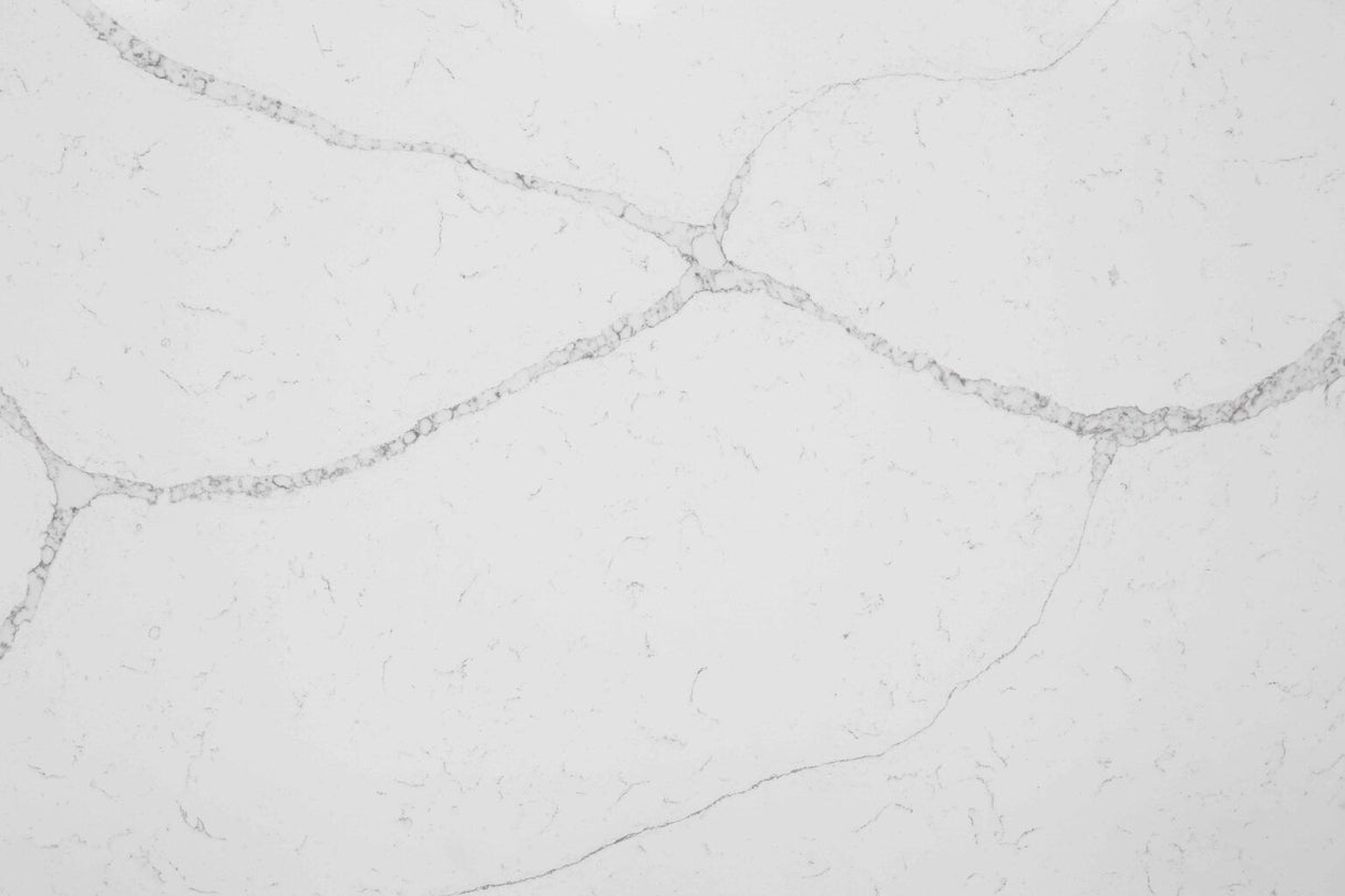 CALACATTA-8 - CALACATTA GRIGIO (6421) - SURFACES -  (  - TABQUARTZ - 3270x1640x20 mm - 128.74inchX64.57inchX0.8inch )