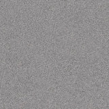DESERT GRIS MATT - SIMPOLO-TILES- (  - DESERT MATT - 600x600 mm - 24inchX24inch )