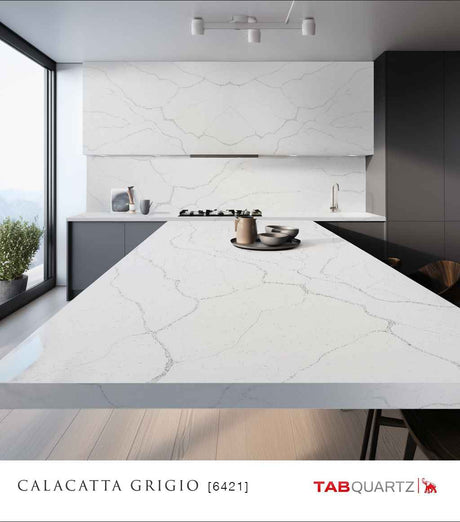 CALACATTA-8 - CALACATTA GRIGIO (6421) - SURFACES -  (  - TABQUARTZ - 3270x1640x20 mm - 128.74inchX64.57inchX0.8inch )