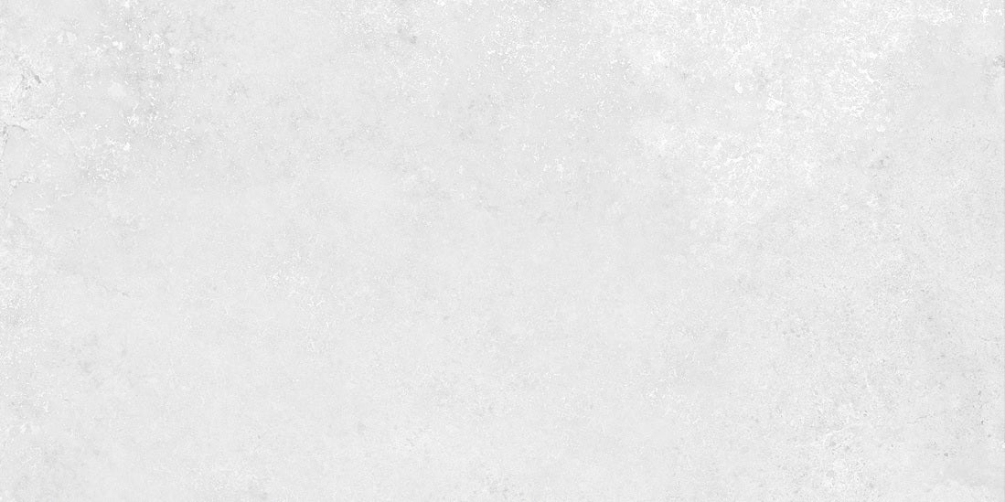 REGON GREY LIGHT - INDIAN TILES -  (  - BLACKBERRY SUGAR - 600x300 mm - 24inchX12inch )