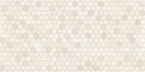 GEMS MARFIL - INDIAN TILES -  (  - WALL TILES SERIES 1 - 600x300 mm - 24inchX12inch )