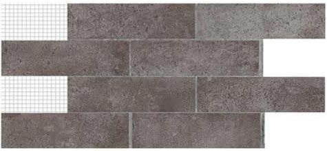 FOSSIL NATURAL - COLORTILE -  (  - FOSSIL - 300x75 mm - 12inchX3inch )