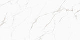 NOBLE (GLOSSY) - COLORTILE -  (  - PGVT - 1200x600 mm - 48inchX24inch )