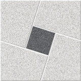 ARGON SILVER - CREANZA -  (  - CREANZA PRO SERIES - 400x400x12 mm - 16inchX16inchX0.4inch )