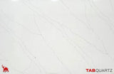 STATUARIO-4 - STATUARIO DELICATUS (2569) - SURFACES -  (  - TABQUARTZ - 3270x1640x20 mm - 128.74inchX64.57inchX0.8inch )