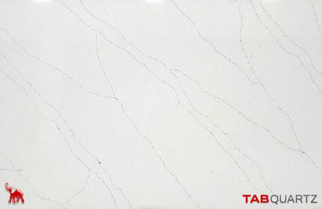 STATUARIO-4 - STATUARIO DELICATUS (2569) - SURFACES -  (  - TABQUARTZ - 3270x1640x20 mm - 128.74inchX64.57inchX0.8inch )