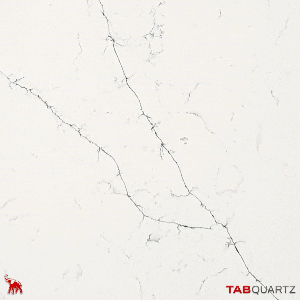 STATUARIO-4 - STATUARIO DELICATUS (2569) - SURFACES -  (  - TABQUARTZ - 3270x1640x20 mm - 128.74inchX64.57inchX0.8inch )