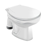 EWC UNIVERSAL S-TRAP 255MM W/SEAT COVER - HINDWARE -  ( STAR WHITE - UNIVERSAL - 570x460 mm - 22.8inchX18.4inch )