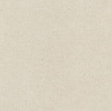 ALPI ARGENTO THICKNESS 9MM - NEXION -  (  - LITHIC - 1198x1198x mm - 48inchX48inchX0.36inch )
