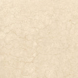 BOTTICINO FULL LAPPATO THICKNESS 9MM - NEXION -  (  -  - 1198x1198x9 mm - 48inchX48inchX0.36inch )