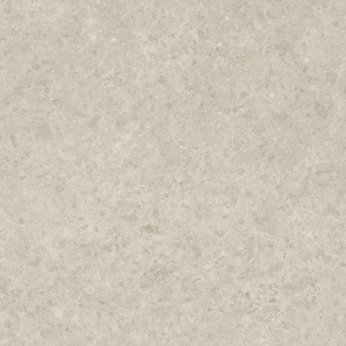 BEIGE DU MARAIS FULL LAPPATO THICKNESS 9MM - NEXION -  (  -  - 1198x1198x9 mm - 48inchX48inchX0.36inch )