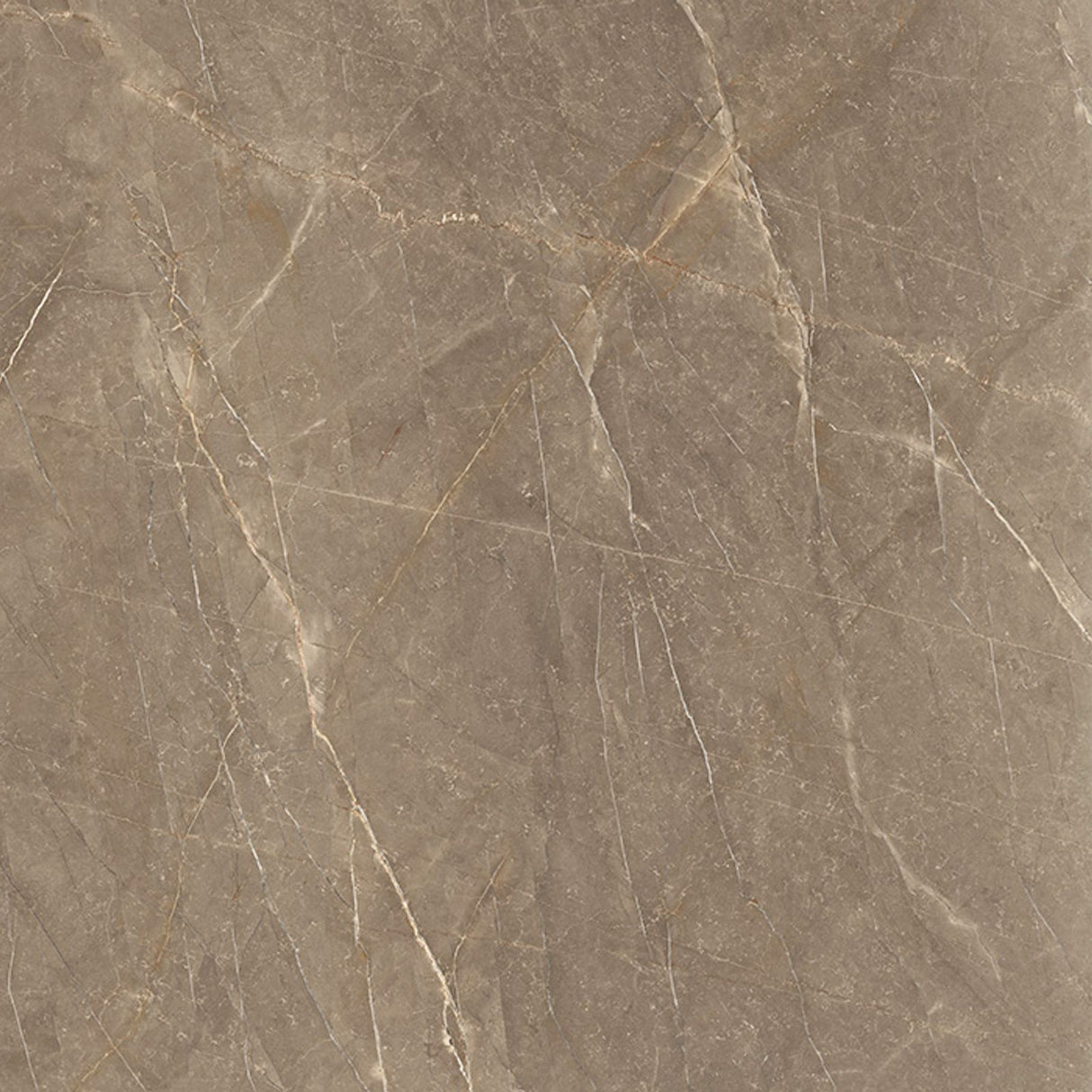 AMANI BRONZE FULL LAPPATO THICKNESS 9MM - NEXION -  (  -  - 1198x1198x9 mm - 48inchX48inchX0.36inch )