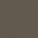 PICCHE ESPRESSO THICKNESS 9MM - NEXION -  (  - PICCHE - 1198x1198x9 mm - 48inchX48inchX0.36inch )